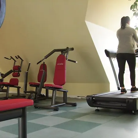 Hotel Wiedenbrueck 3*